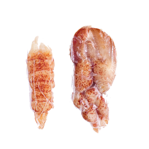 llobregant